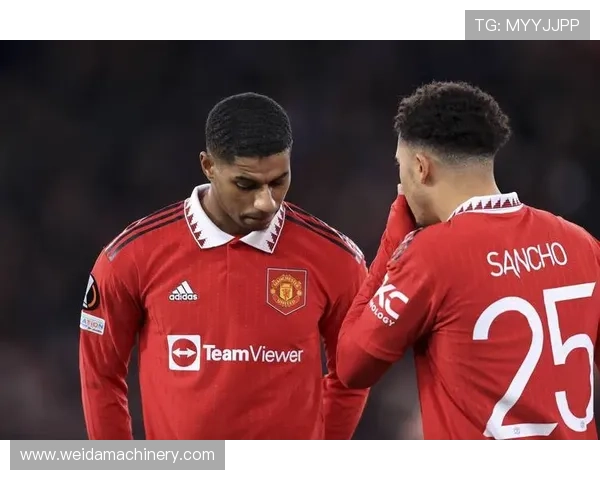 德甲转会流动状况：球员流通频繁，多队引援补强阵容