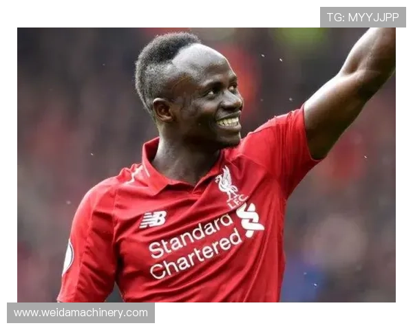 格纳布里技术特点全面分析：速度突破与射门效率持续提升