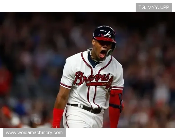 阿库尼亚防守端价值