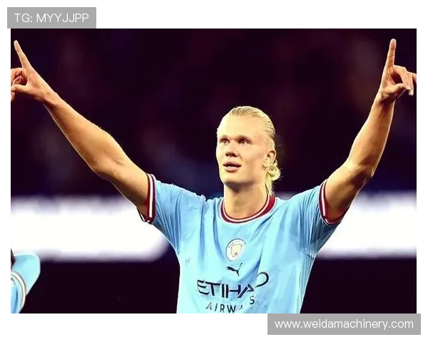 哈兰德商业价值亿级