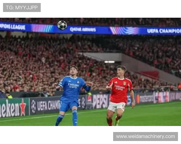 罗德里：欧冠淘汰赛多场关键战中的稳定控场大师