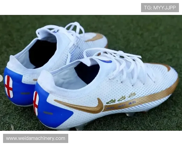 凯恩在国家队体系中的战术适配性解析