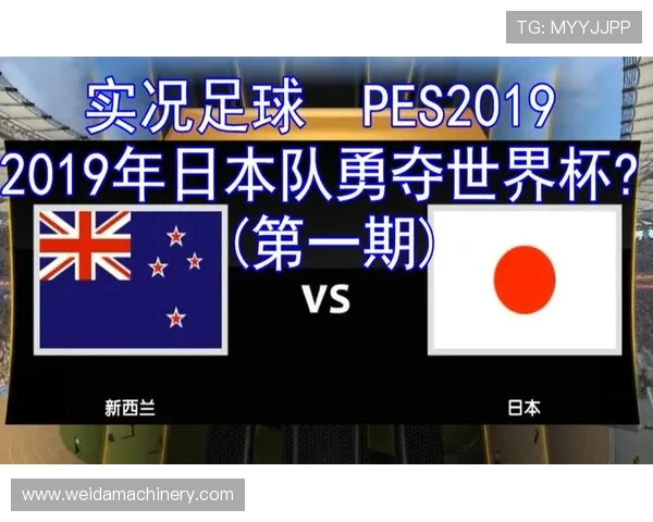 日本队世界杯赛果模拟分析
