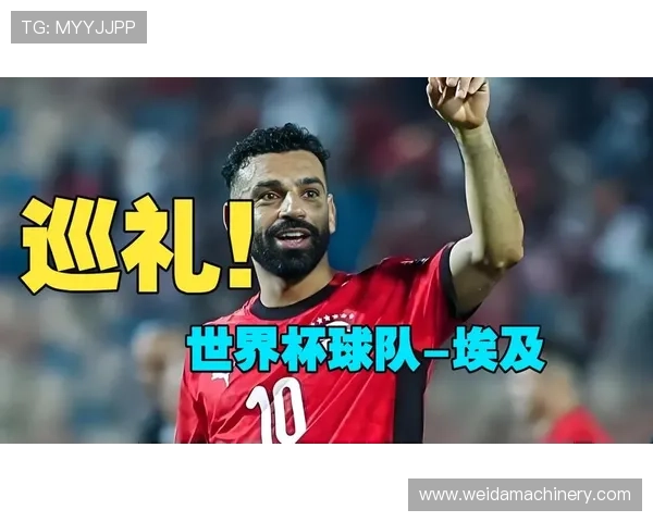 萨拉赫世界杯关键战盘点